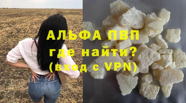 шишки Ельня