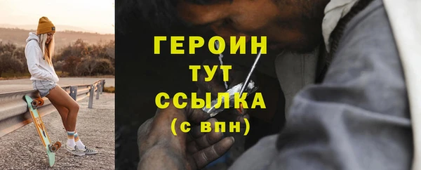 шишки Ельня