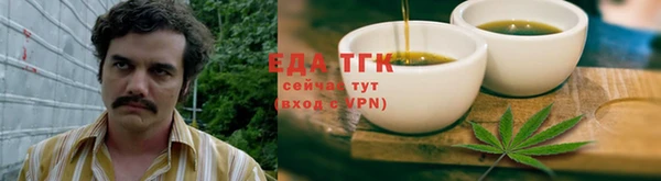 шишки Ельня