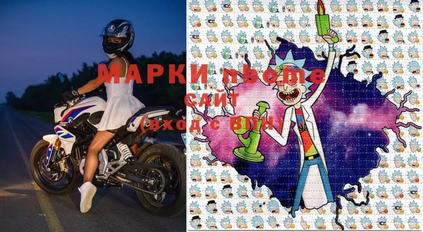 шишки Ельня