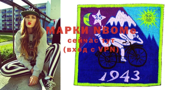 шишки Ельня