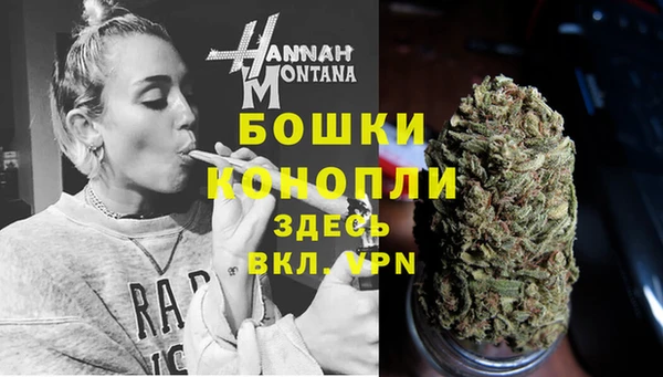 шишки Ельня