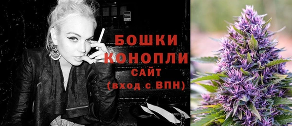 шишки Ельня