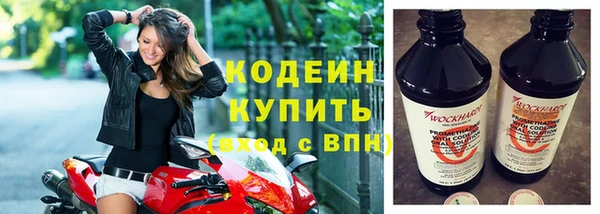 шишки Ельня