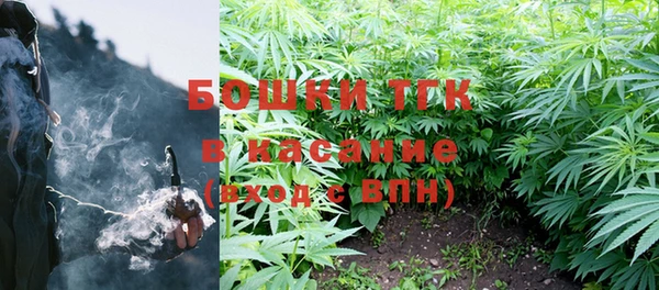 шишки Ельня