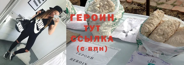 шишки Ельня