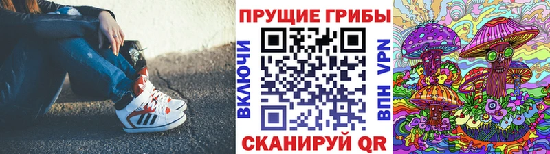 Галлюциногенные грибы Psilocybe shop какой сайт Кумертау